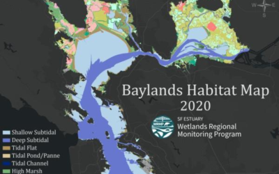 Introducing the Baylands Habitat Map 2020! Part 1